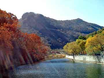 新澳天天开奖资料大全旅游团，小说在线看